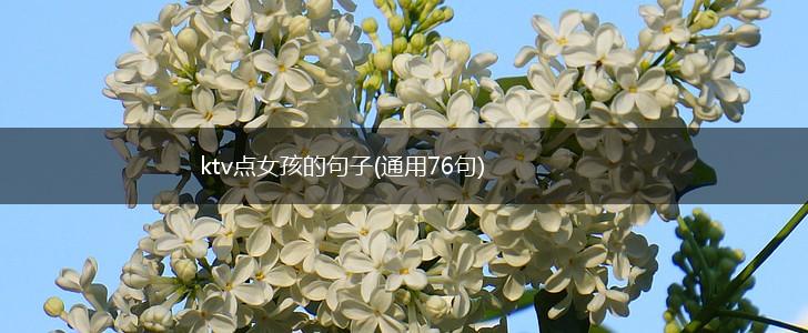 ktv点女孩的句子(通用76句),第1张