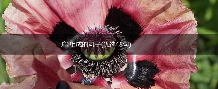 J能组成的句子(优选48句),第1张