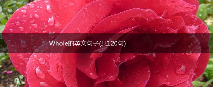 Whole的英文句子(共120句),第1张