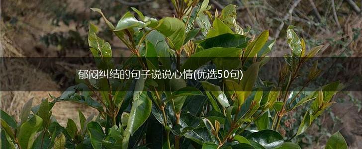 郁闷纠结的句子说说心情(优选50句),第1张