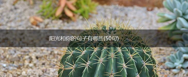 阳光和你的句子有哪些(50句),第1张