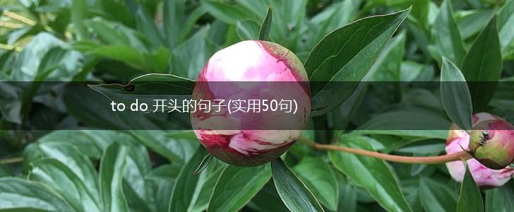 to do 开头的句子(实用50句),第1张
