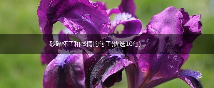 破碎杯子和感情的句子(优选10句),第1张