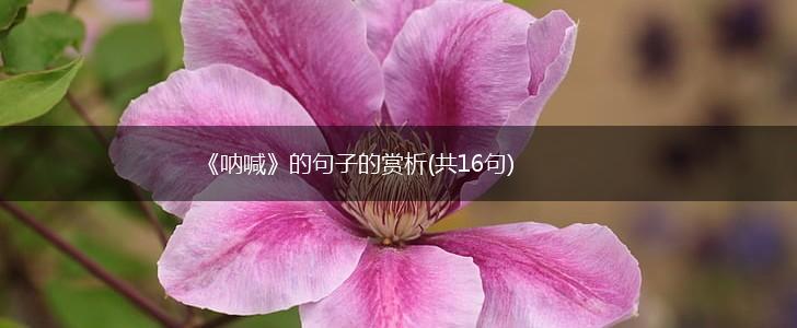 《呐喊》的句子的赏析(共16句),第1张