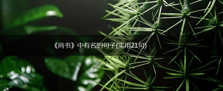 《尚书》中有名的句子(实用21句),第1张