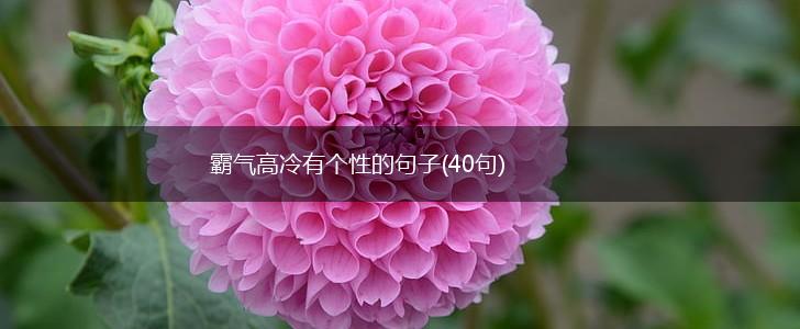 霸气高冷有个性的句子(40句),第1张