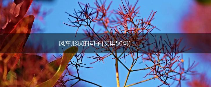 风车形状的句子(实用50句),第1张