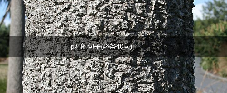 p君的句子(必备40句),第1张