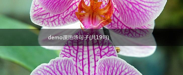 demo课热场句子(共19句),第1张