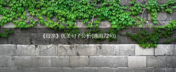 《母亲》优美句子分析(通用72句),第1张