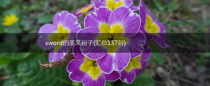 sword的英文句子(汇总137句),第1张