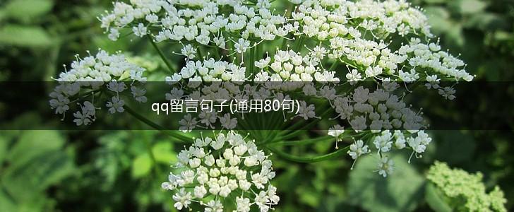qq留言句子(通用80句),第1张