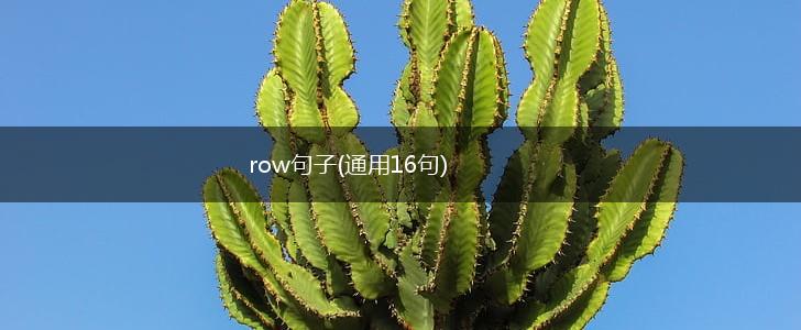row句子(通用16句),第1张