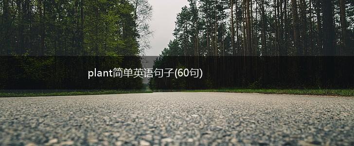plant简单英语句子(60句),第1张