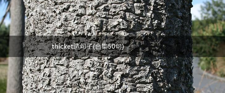 thicket造句子(合集50句),第1张