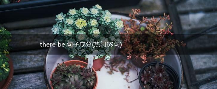 there be 句子成分(热门69句),第1张