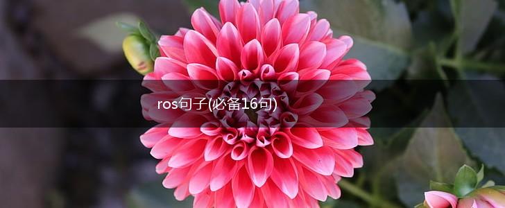ros句子(必备16句),第1张