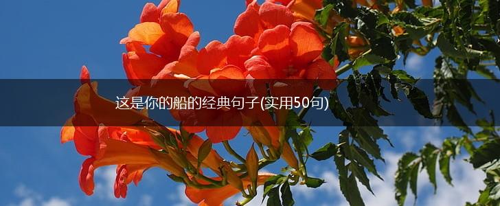 这是你的船的经典句子(实用50句),第1张