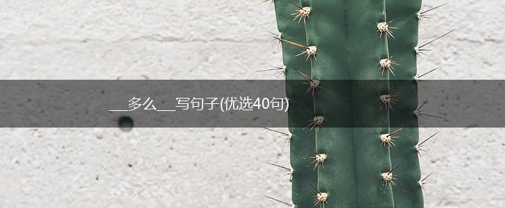 ___多么___写句子(优选40句),第1张