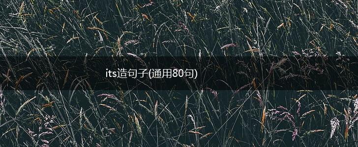 its造句子(通用80句),第1张