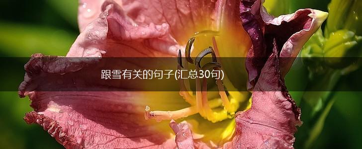 跟雪有关的句子(汇总30句),第1张