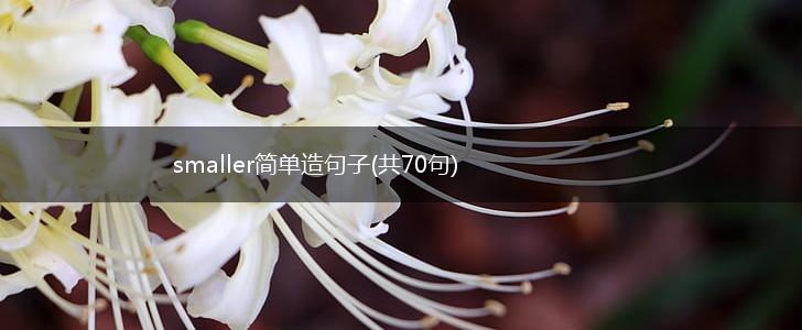 smaller简单造句子(共70句),第1张