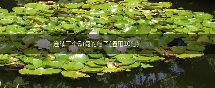 连续三个动词的句子(通用10句),第1张