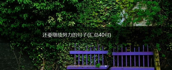 还要继续努力的句子(汇总40句),第1张