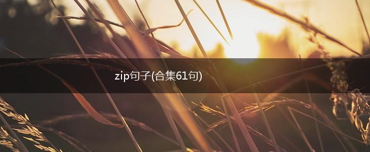 zip句子(合集61句),第1张