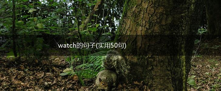 watch的句子(实用50句),第1张