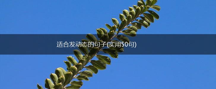 适合发动态的句子(实用50句),第1张