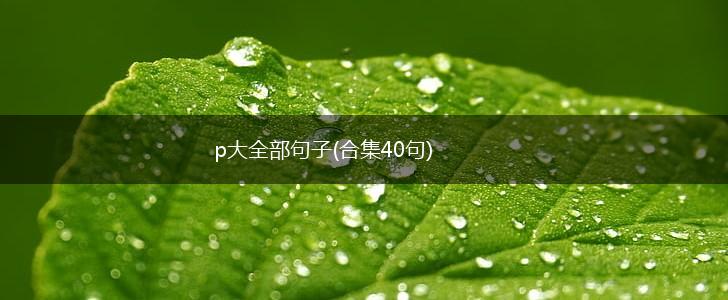 p大全部句子(合集40句),第1张