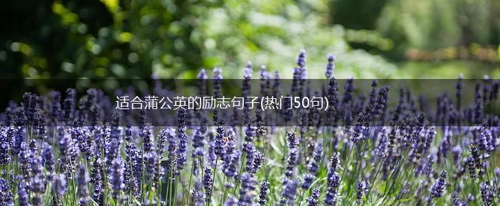 适合蒲公英的励志句子(热门50句),第1张