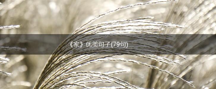 《家》优美句子(79句),第1张