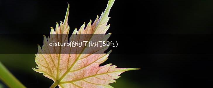 disturb的句子(热门50句),第1张