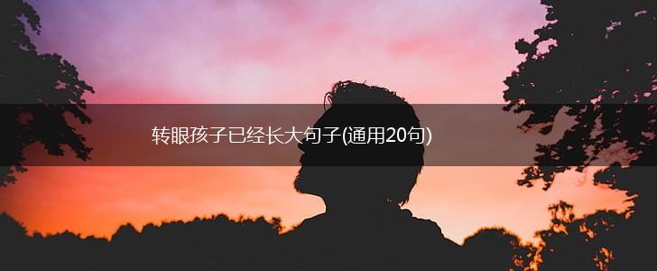 转眼孩子已经长大句子(通用20句),第1张