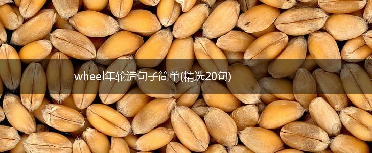wheel年轮造句子简单(精选20句),第1张