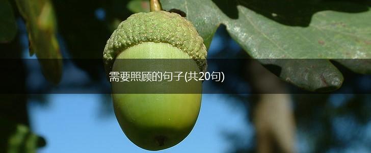 需要照顾的句子(共20句),第1张