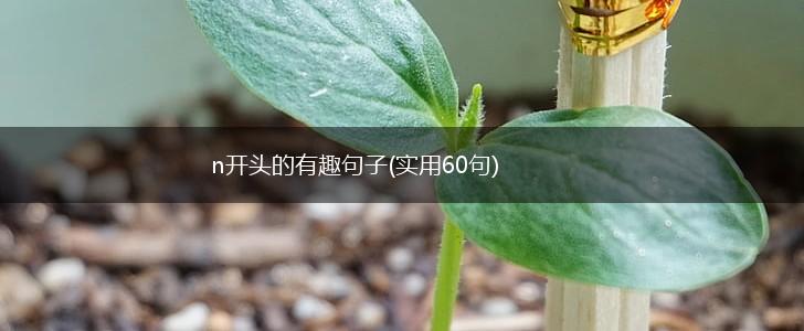 n开头的有趣句子(实用60句),第1张