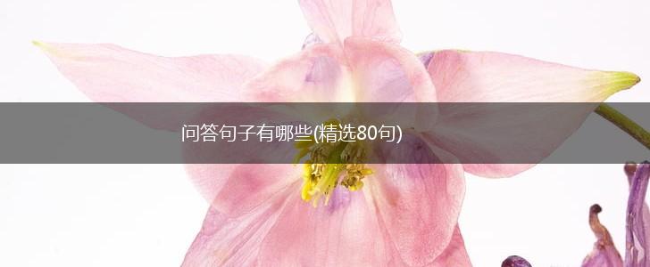 问答句子有哪些(精选80句),第1张