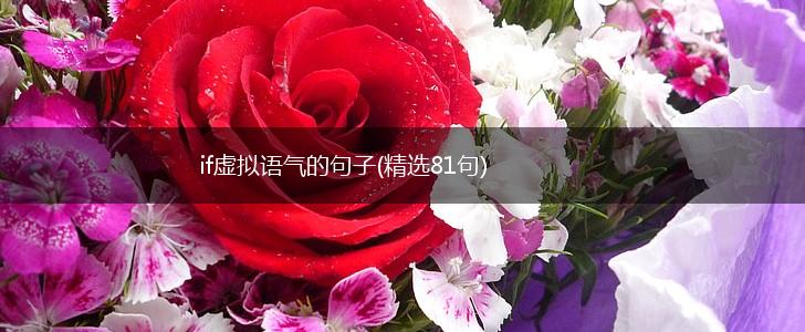 if虚拟语气的句子(精选81句),第1张
