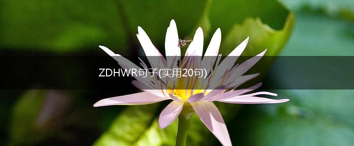 ZDHWR句子(实用20句),第1张