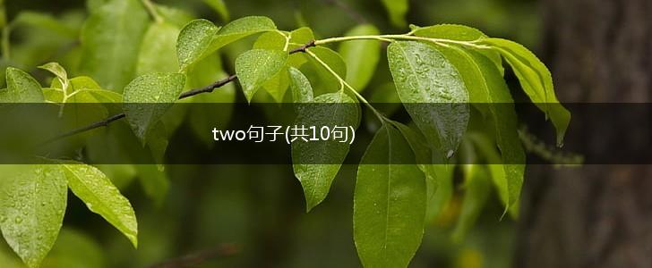 two句子(共10句),第1张