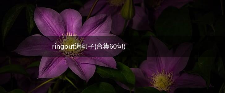 ringout造句子(合集60句),第1张
