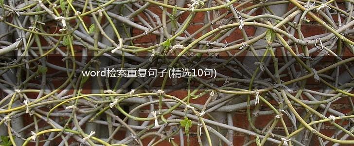word检索重复句子(精选10句),第1张