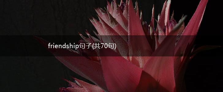 friendship句子(共70句),第1张