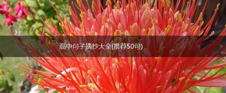 高中句子摘抄大全(推荐50句),第1张