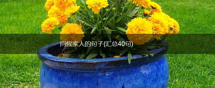 问候家人的句子(汇总40句),第1张