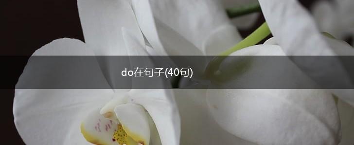 do在句子(40句),第1张