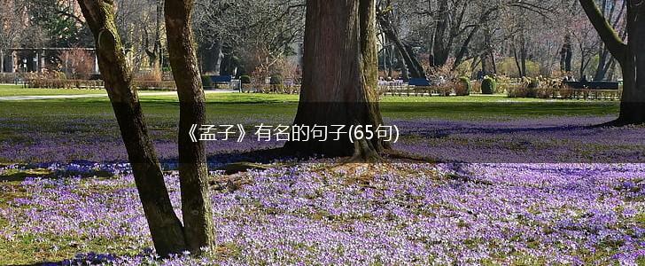 《孟子》有名的句子(65句),第1张